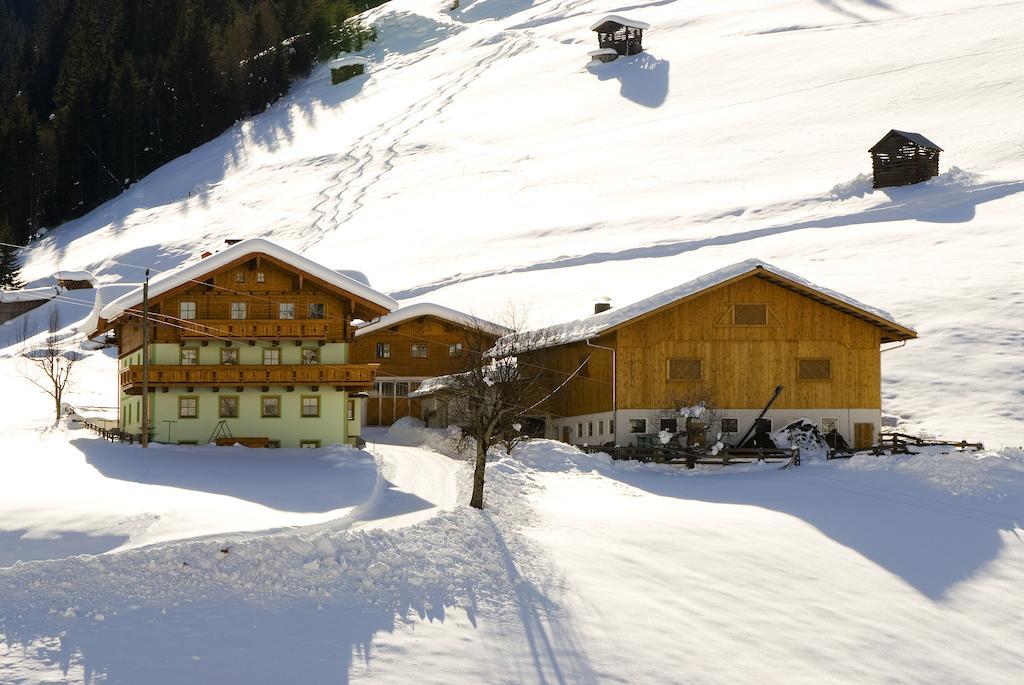 Kleinellmauhof Lägenhet Grossarl Exteriör bild